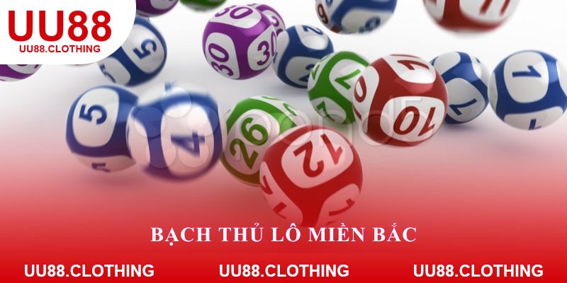Bạch thủ lô miền Bắc