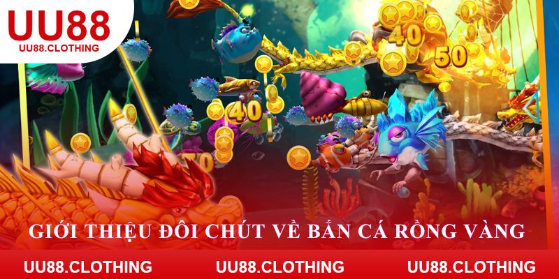 Giới thiệu đôi chút về bắn cá rồng vàng