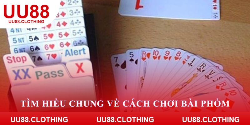 Tìm hiểu chung về cách chơi bài Phỏm