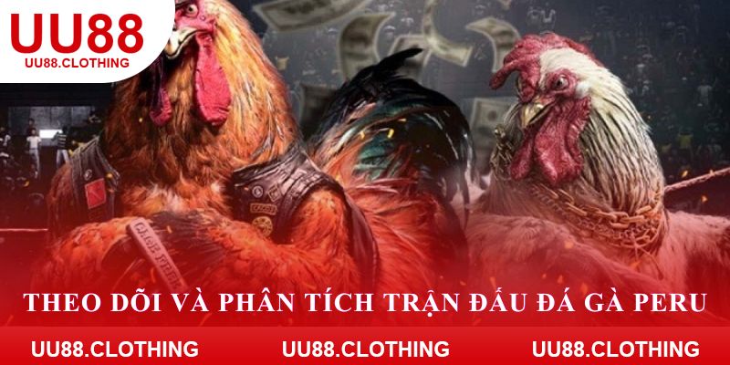 Theo dõi và phân tích trận đấu đá gà Peru