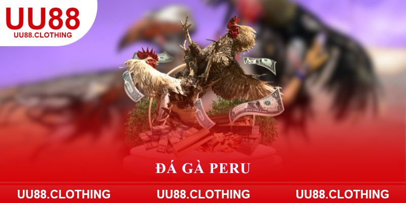 Đá gà Peru