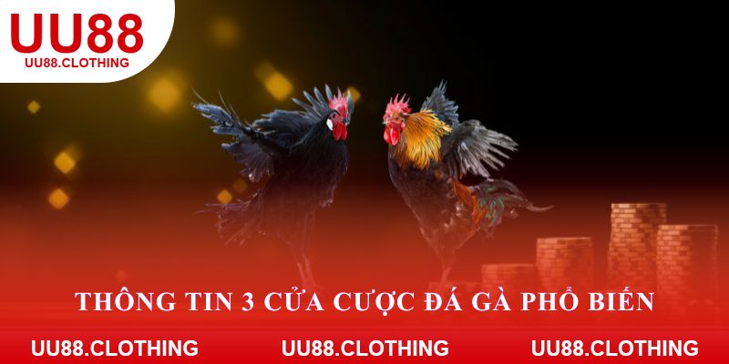 Thông tin 3 cửa cược đá gà phổ biến