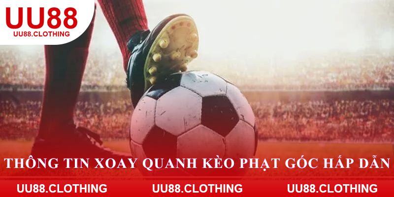 Thông tin xoay quanh kèo phạt góc hấp dẫn